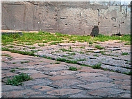 DSCN2142